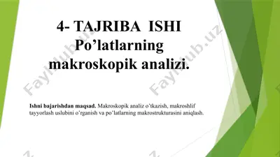 makroskopik analiz — PPTX