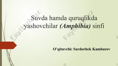 suvda hamda quruqlikda yashovchilar (amphibia) sinfi — PPTX