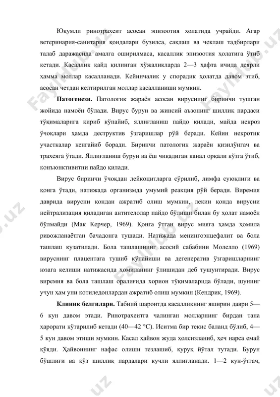 диган бузоқларда оғир кечади. касал ҳайвоннинг тана ҳарорати юқори бўлиб, бурун бўшлиғи ва кўз шиллиқ пардаларининг яллиғланиши жуда оғир ўтади. бурун ва кўздан шилимшиқ йирингли суюқлик оқиб туради. гиперемия тумшуққа қараб ўтади. айрим ҳолларда буруннинг шиллиқ пардасида некроз ўчоқлари пайдо бўлади, оқ фибрин қопламалари вужудга келади. агар бу қопламалар қириб олинса, улар тагида яра кўзга ташланади. бундай қопламалар юқори нафас йўлларида ҳам кўринади. кейинчалик улар қалинлашиб, нафас йўллари қисилиб қолади. натижада нафас олиш қийинлашади. иккиламчи микрофлоралар тушганда касалликнинг кечиши чўзилиб кетади. бурун бўшлиғидан сурункали шилимшиқ суюқлик оқиб туради, бронхопневмония ривожланиб, нафас олиш қийинлашади. касал моллар тез озиб кетади. иккиламчи бактерияларнинг организмга тушиб, касалликка қўшилиши ҳайвонни ҳалокатга олиб келади. хагснинг маълумотига кўра (1964) конъюнктивитдан ташқари кўз хиралашиб, уни парда қоплаб олади. тайлоқ тумани «улуғбек» номли хўжаликда 4—7 ойлик бузоқлар касалланиб, кўзлари ўз орбитасидан чиқиб кетганлигининг гувоҳи бўлдик. узоқдан қаралса кўзга худди махсус кўзойнак тақиб олгандек туюлади. 100 бошдан ортиқ бузоқдан 61 …