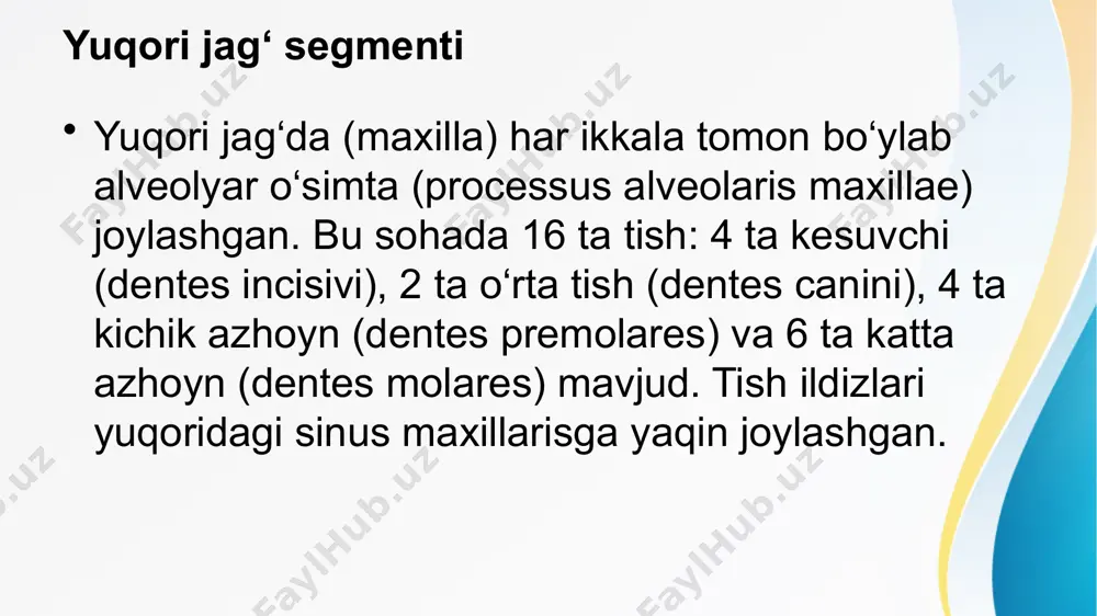 tishning jag' segmenti - Page 4