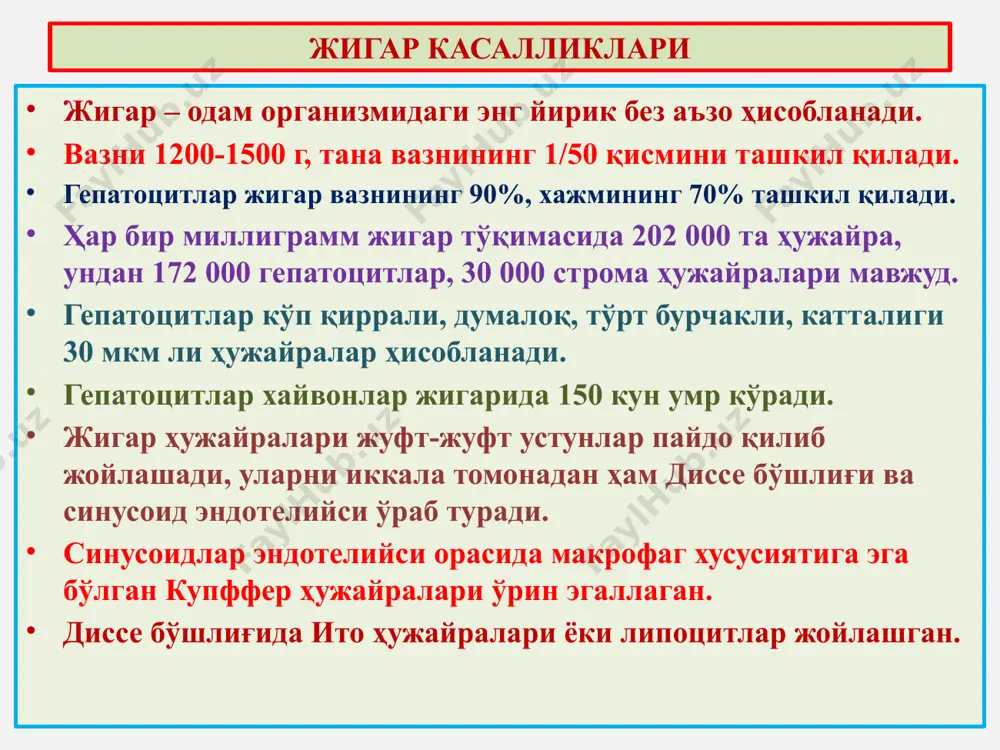 и вирусли гепатит, бу - гепатотроп вирусларнинг цитотоксик ва аутоиммунлаш таъсири натижасидаги жигарнинг яллиғланишли касаллигидир. этиологияси: а, в, с, d, е, f, g гепатотроп вируслар. а вирусли гепатит доимо ўткир кечади, фекал-орал йўл билан юқади, вирус бевосита цитотоксик таъсир кўрсатиб, жигар ҳужайраларини некрозлайди. е вирус ҳам фекал-орал йўл билан юқиб ўткир вирусли гепатит қўзғатади. в ва с вирусли гепатитлар ўткир ҳамда сурункали кечади, парентерал йўл билан, ҳамда йўлдош орқали онадан болага ўтади. вирус билан касалланган гепатоцитлар иммун реакциялар орқали йўқ қилинади. d вирус фақат в вирус билан касалланганларга юқади. f, g вируслар, в ва с борлигида юқади ва гигант ҳужайралар пайдо қилади. жигар касалликлари шиддатли некротик гепатит а ва е вируслар қўзғатган массив некроз ва қон қуйилиш ўчоқлари. вакуоляр дистрофия каунсилмен оқсили портал йўлларидаги лимфоид инфильтрация лимфоцитлар ва макрофаглардан иборат. ўткир вирусли гепатит 1 1 2 3 4 5 3 сурункали актив гепатит перипортал пағонасимон некроз кўприксимон некрозлар некроз атрофидаги …