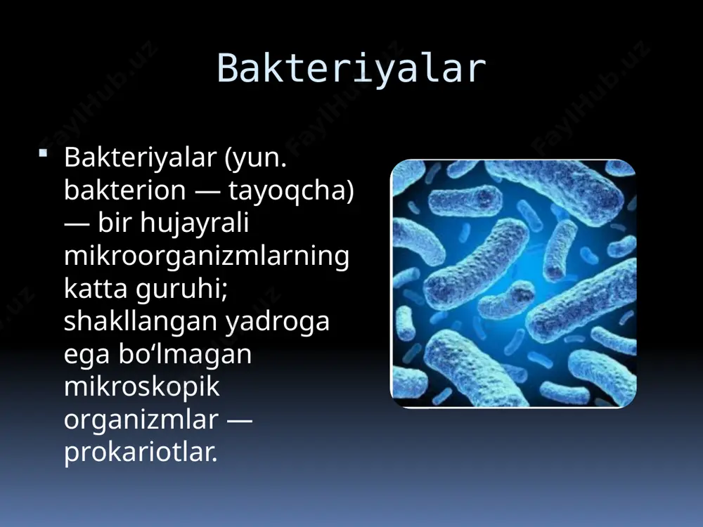 asalalarni hal qilish uchun eng yaxshi obʼyektdir. b. kulturasidan aminokislotalar, vitaminlar va antibiotiklarni miqdor jihatidan aniqlashda foydalaniladi. tuproq unumdorligi b.ning hayot faoliyatiga bogʻliq. pektin moddalarni bijgʻitadigan bakteriyalar yordamida zigʻir, kanop va boshqa tolali oʻsimliklar ivitiladi. sutdan qatiq, sariyogʻ, pishloq va boshqa mahsulotlar tayyorlashda ham bakteriyalar ning har xil turlaridan foydalaniladi. e’tiboringiz uchun rahmat image2.png image3.png image4.png image5.png image6.png image7.png