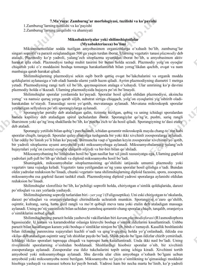 miksobakteriyalar yoki shilimshiqtoifalar — DOCX