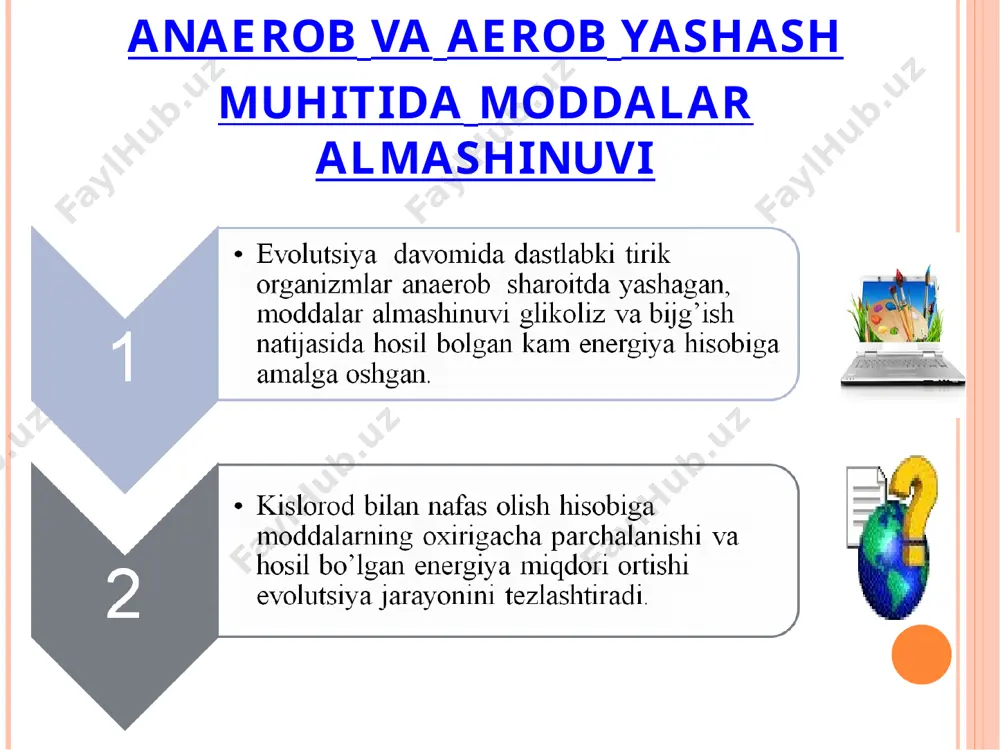 hayvonlarning nafas olish organlari evolutsiyasi - Page 4