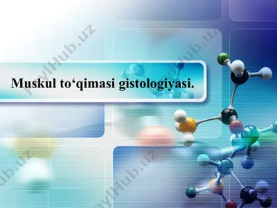 muskulto‘qimasigistologiyasi — PPTX
