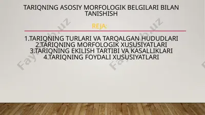 tariqning asosiy morfologik belgilari bilan tanishish — PPTX
