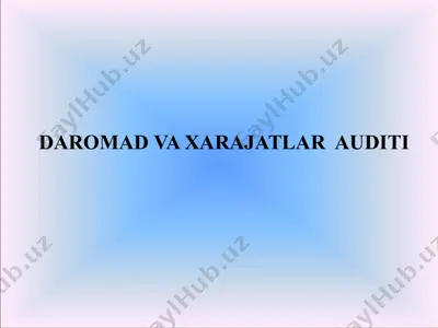 daromad va xarajatlar auditi — PPTX