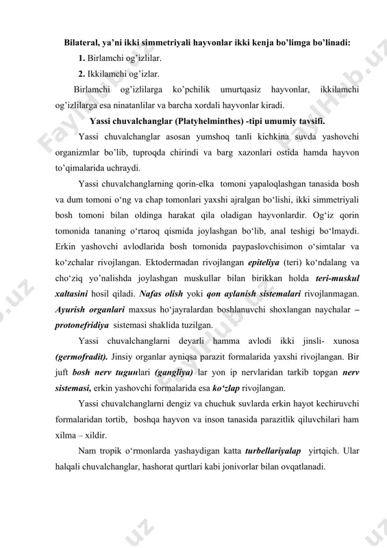 ichlilar (trematoda) sinfi. 3. monogenetik so‘rg‘ichlilar (monogenea) sinfi. 4. tasmasimon (gestoda) sinfi. kiprikli chuvalchanglar (turbellaria) sinfi bu yassi chuvalchanglarni juda ko‘pchiligi dengizlarda, daryolarda suv havzalarida, botqoqliklarda yashab 4500 dan ortiq turi ma’lum. hammasi erkin hayot kechiradi. oq planariyaning tuzilishi va hayoti. oq planariya - 2-3 mm uzunlikdagi yassi chuvalchang. uni ba’zi ko‘llar, kichik havzalar, barg va chirindilar orasida uchratish mumkin. bosh qismi kengaygan. oldingi yon qismida ikkita kalta o‘simta paypaslagichlar va 2 ta kichik nuqta ko‘zchalar joylashgan. planariya bargsimon tanasining usti juda mayda, nozik kiprikchalar bilan qoplangan. shu kiprikchalar yordamida harakatlanadi. ostki qorin tomonining o‘rta qismida og‘iz joylashgan bo‘lib chiqarish (anal) teshikchasi yo‘q, og‘iz hazm bo‘lmagan oziq qoldiqlarini chiqarishga ham xizmat qiladi. ustki tomoni epiteliya ho‘jayralari bilan qoplangan teri ostida muskul tolalari joylashgan. ikkalasi birgalikda teri-muskul haltasini hosil qiladi. epiteliya ho‘jayralari oralig‘ida bezli ho‘jayralar va robdit tanachalari deb ataladigan ho‘jayra mahsuloti bo‘lishi xarakterlidir. teri-muskul haltasining o‘rtasida parenxema qavati bilan to‘ldiruvchi …