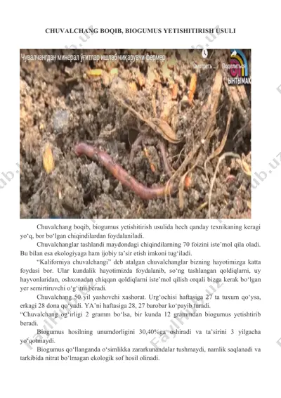 biogumus yetishitirish usuli — DOCX