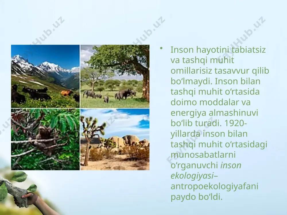 ifatida o‘ziga xosligi uning faoliyati faol, ijodiy xarakterda ekanligidir. inson o‘z atrofida sun’iy muhit yarata olishi ham uni boshqa ekologik omillardan ajratib turadi. antropoekologiya fani antropoekologik sistemalarning shakllanishi, yashash va rivojlanish qonuniyatlari, shuningdek, insonning sog‘lom turmush tarzi me’yorlari, salomatligiga ta’sir etadigan (fizik, kimyoviy, biologik, ijtimoiy) omillarni keng miqyosda o‘rganadi. antropoekologik sistemalarda inson va tabiiy muhit o‘rtasidagi o‘zaro ta’siri quyidagi yo‘nalishlarda amalga oshiriladi: inson tabiiy boylik va ne’matlardan foydalanishi orqali rivojlanadi, shuningdek, jamoaning biologik va ijtimoiy ko‘rsatkichlari o‘zgaradi. inson tabiat qonunlarini o‘rganib, o‘z ehtiyojlarini qondirish maqsadida atrof-muhitni ongli ravishda o‘zgartiradi. insonlarning ekologik muhitga moslanishlari. adaptiv tiplar. tabiiy va sun’iy muhit omillari insonga doimo ta’sir ko‘rsatadi. sayyoraning turli joylarida insonga turli xil tabiiy omillar ta’sir ko‘rsatadi. inson rivojlanishi davomida yer kurrasi aholisining ekologik moslashuvi natijasida insonlarning adaptiv (moslashgan) tiplari kelib chiqqan. arktik adaptiv tip. sovuq iqlim va ko‘proq hayvon mahsulotlari bilan oziqlanish sharoitida shakllanadi. arktika xalqlari orasida ham o‘simliklar tarkibidagi c vitaminini …