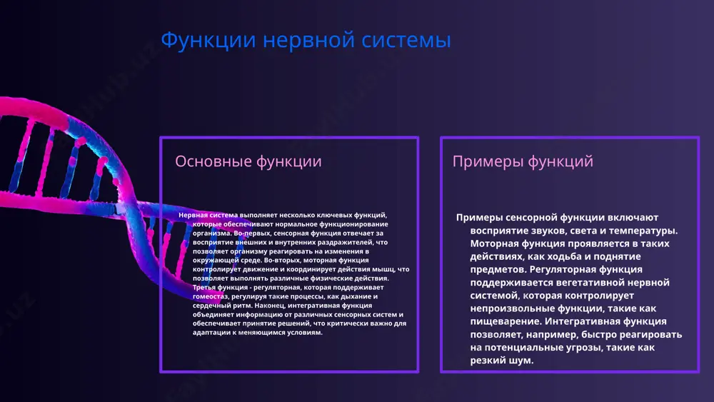 а заболеваний. перспективы исследований в области неврологии обзор современных направлений исследований в неврологии, включая нейроинженерию и генную терапию, а также междисциплинарные подходы. современные исследования в области неврологии направлены на изучение новых методов лечения, таких как нейроинженерия и генная терапия, которые открывают новые горизонты в лечении неврологических заболеваний. в следующие 5-10 лет ожидается рост междисциплинарных исследований, объединяющих неврологию с биоинформатикой и психотерапией, что должно привести к более эффективным методам диагностики и лечения. photo by national cancer institute on unsplash photo by national cancer institute on unsplash технологии в современном неврологическом исследовании современные технологии играют ключевую роль в неврологии, обеспечивая более точные и эффективные методы диагностики и лечения. к основным технологиям относятся магнитно-резонансная томография (мрт) и электроэнцефалография (ээг), которые помогают выявлять неврологические расстройства и мониторить активность мозга. инновационные подходы, такие как нейрофидбек, позволяют пациентам управлять своими состояниями через обратную связь о мозговой активности. внедрение этих технологий значительно улучшает качество исследований и клинической …