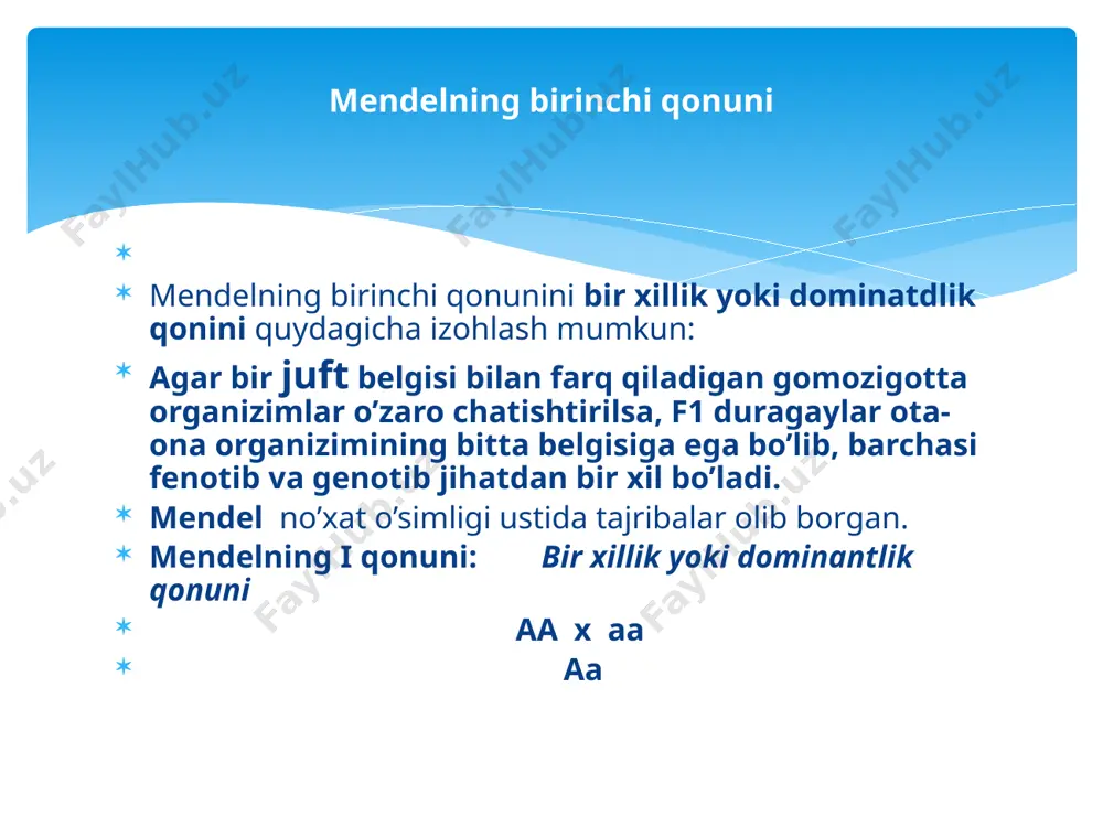 ing rangi:{aa}-qo’ng’r rangli, {aa}-novot rangli, {aa}-oq rangini yuzaga chiqaradi. nomodshom gulning gultoji barglarining rangi ham chala dominatlikka misol bo’ladi. {aa}- qizil, {aa}-pushti, {aa}-oq rangli bo’ladi. odam soch tolasining {aa}- jingalak, { aa}-taram taram yoki to’lqinsimon, { aa }-silliq holda irsiylanadi. oraliq irsiylanish quydagi organizimlarga hos:qulupnay mevasini rangi, andaluz tovuqlarining pat rangi, bundan tashqari odamdagi biyokimyoviy jarayonlar ham oraliq holda irsiylanadi.!!! alel bo’lmagan yani (noalel) genlarning o’zaro ta’siriga belgilarning rivojlanishi!!! ikki yoki undan ortiq genlarning bir belgini rivojlanishiga ko’rsatadigan tasiri uch tipga ajratiladi 1){komplemental} 2){epistaz} 3){polimer.} komplemental irsiylanish: kompilemental so’zining manosi – lotinchada to’ldiruvchi degan ma’noni anglatadi. kompelemental irsiylanishda ikki va undan ortiq alel bo’lmagan genlar o’zaro o’zaro tasiri natijasida ota onada yo’q belgilarning rivojlanishini tamin etuvchi genlar kompilemental tasir deyiladi. . kompilemental irsiylanishda f2 avlodda belgilarning ajralishi: fen: {9:7}, {9:6:1}, {9:3:4}, {9:3:3:1} nisbatlarda bo’ladi. gen: { 1:2:2:4:1:2:1:2:1} nisbatda bo’ladi. osh qovoqdaning mevasining shakli komelemental irsiylanadi- {aabb,aabb, yoki aabb,aabb } genotipli …