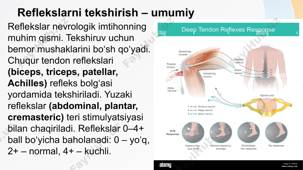 reflektor doira: tekshirish usullari, patologiyasi - Page 5