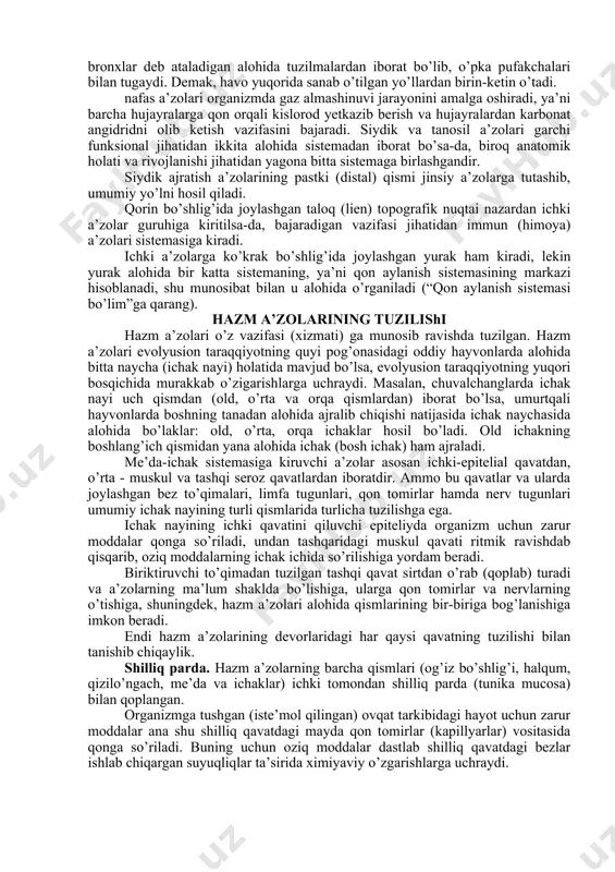 ari o’n ikki barmoq ichakka ochiladi) ekskretlar ta’sirida ovqat tarkibidagi oqsillar, uglevodlar (karbonsuvlar) va yog’lar, vitaminlar va mineral tuzlar parchalanadi. bu moddalar ingichka ichakdagi qon tomirlarga (qisman limfa tomirlariga) so’riladi. ovqatdagi parchalanmay qolgan, ya’ni hazm bo’lmagan moddalar yo’g’on ichakka o’tadi (yo’g’on ichakda ham ovqat parchalanadi va so’riladi). yo’g’on ichakda parchalanmay qolgan oziq moddlar tarkibidagi suv qonga so’riladi, qolganlari esa chiqindi (axlat) sifatida to’g’ri ichakdan orqa teshik orqali tashqariga chiqib ketadi. havo (nafas) yo’li burun bo’shlig’idan halqumning og’iz bo’shlig’i qarshisidagi qismiga o’tadi, halqum bilan nafas yo’li orqali bemalol nafas olinadi. nafas yo’lining umumiy bo’shliqdan so’ngi qismlari hiqildoq, kekirdak va bronxlar deb ataladigan alohida tuzilmalardan iborat bo’lib, o’pka pufakchalari bilan tugaydi. demak, havo yuqorida sanab o’tilgan yo’llardan birin-ketin o’tadi. nafas a’zolari organizmda gaz almashinuvi jarayonini amalga oshiradi, ya’ni barcha hujayralarga qon orqali kislorod yetkazib berish va hujayralardan karbonat angidridni olib ketish vazifasini bajaradi. siydik va tanosil a’zolari garchi funksional jihatidan ikkita alohida …