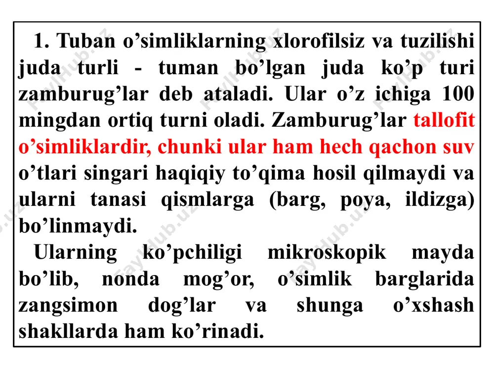 ki sporangiyda spora hosil bo’ladi. zamburug’larda jinsiy ko’payish- izogamiya, oogamiya, usulida ro’y beradi. tanasining tuzilishi va ko’payish xususiyatlariga qarab, zamburug’lar tipi quyidagi 6 ta sinfga bo’linadi. arximisetlar yoki xitridiomisetlar sinfi. 2. oomisetlar. 3. zigomisetlar (bular tuban zamburug’lar). 4. xaltachali zamburug’lar yoki askomisetlar. 5. bazidiyeli zamburug’lar yoki bazidiyamisetlar (bular yuksak zamburug’lar). 6. takomillashmagan zamburug’lar. i. шампиньон ii. белый гриб iii. сморчок agaricus campestis boletus edulus morchella esculenta 1,4,6 – плодовые тела, 2 - образование базидий 3 - базидио споры, 5 – поперечный срез плодового тела, 7 – образование аски (сумки), 8 – аско споры. 1.arximisetlar sinfi - tanasi yalong’och - yaxshi rivojlanmagan mitseliy rizomitseliydan iborat 3 xil ko’payadi (vegetativ, jinsiy, jinssiz). ular yosh karamni ildiz bo’g’zini zararlaydi. qora oyoq kasalligini keltirib chiqaradi. unga qarshi kurashish uchun tuproqqa ishlov berib namlikni kamaytirish kerak. 2. oomisetlar sinfi mitseliysi shoxlangan alohida hujayralarga bo’lingan bo’ladi. masalan: fitoftora zamburug’i kartoshka, pomidor va poliz ekinlari bargida qo’ng’ir …
