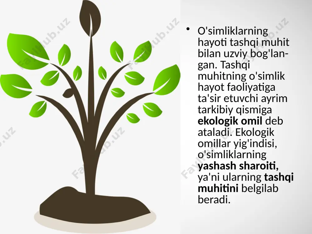 an ifloslangan tuproq o'simliklarga salbiy ta'sir etmoqda. daryo bo'ylaridagi to'qaylar quriy boshladi. ilgarigi hosildor o'tloq va pichanzorlarning mahsuldorligi keskin o'zgardi. o'rmonlar yong'inlardan va suv bosishlardan ham katta zarar ko'radi. sayyohlar ham o'rmonlarga katta ziyon yetka-zadilar. ular chodir qurish uchun bir necha yosh daraxtlarni kesadilar. inson dorivor o'simliklardan keng foydalanadi. hozirgi davrda dorivor o'simliklaming 1500 dan ortiq turidan dunyo miqyosida foydalaniladi. shuning uchun ham ba'zi bir dori­vor o'simliklar doimiy ravishda yig'ilishi natijasida ularning zaxiralari kamayib ketmoqda. savol va topshiriqlar ekologik omil deb nimaga aytiladi? ekologik omillar necha guruhga ajratiladi? yorug'lik va harorat omillari o'simlik hayotida qanday ahamiyatga ega? o'simliklar bir-birlariga o'zaro qanday ta'sir etishi mumkin? bakteriyalar bilan o'simlik ildizlari o'rtasida qanday bog'lanish mavjud? hayvonlar o'simliklar hayotida qanday rol o'ynaydi? odamning o'simliklar dunyosiga ta'sirini qanday baholash mum-kin? image2.jpeg image3.png image4.jpeg image5.jpeg image6.jpeg image7.jpeg image8.jpeg image9.jpeg image10.jpeg image11.png image12.jpeg image13.jpeg image14.png image15.jpeg image16.jpeg image17.jpeg image18.jpeg image19.jpeg image1.jpeg