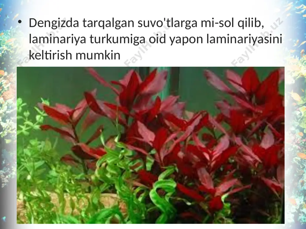 qo'ng'ir va qizil suvo'tlar bo'limlari. 6 - sinf - Page 4
