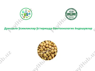 дуккакли ўсимликлар ўстиришда биотехнологик ёндошувлар — PPT