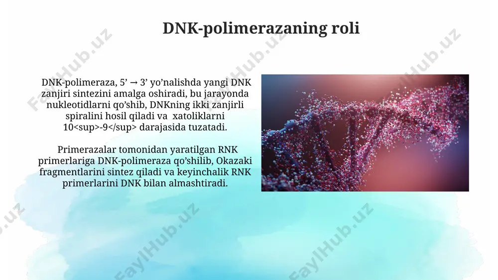 him ahamiyatga ega boʻlib, 2 milliarddan ortiq nukleotidlarning aniq nusxasini yaratishga imkon beradi. dnkning tuzilishi dnk replikatsiyasi jarayonida dnk polimeraza fermenti sekundiga 1000 nukleotid qoʻshish tezligiga ega. dnkning asosiy tarkibiy qismlari – deoksiribonukleotidlar boʻlib, ular toʻrtta azotli asosdan (adenin, guanin, sitozin, timin) tashkil topgan. okazaki fragmentlari okazaki fragmentlari dnkning orqaga yo'nalgan 5'-3' yo'nalishda sintezlanadigan qisqa dnk bo'laklari bo'lib, ularning uzunligi prokaryotlarda 1000-2000 nukleotid, eukariot hujayralarda esa 100-200 nukleotidni tashkil etadi. har bir okazaki fragmentiga rnk primeri qo'shilib, keyin dnk polimerazasi tomonidan dnk zanjiri uzaytiriladi va ligazalar yordamida qo'shni fragmentlar bir-biriga ulanadi. e'tiboringiz uchun rahmat @taqdimot_robot image2.jpg image3.jpg image4.jpg image5.jpg image6.jpg image7.jpg image8.jpg image9.jpg image10.jpg image11.jpg image12.jpg image13.jpg image1.png