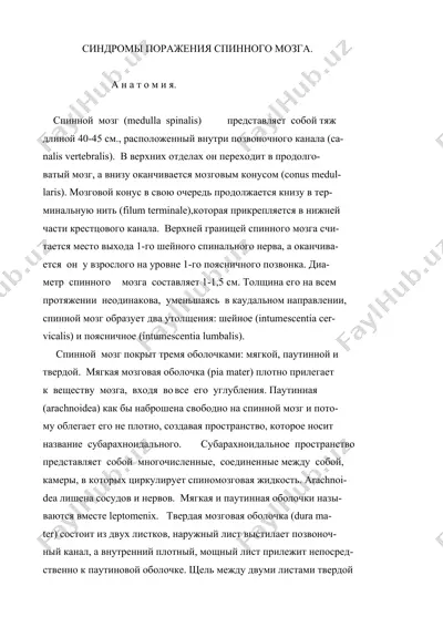 синдромы поражения спинного мозга — DOC