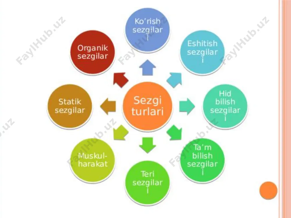 sezgi va idrok jarayonlari rivojlanishi - Page 5