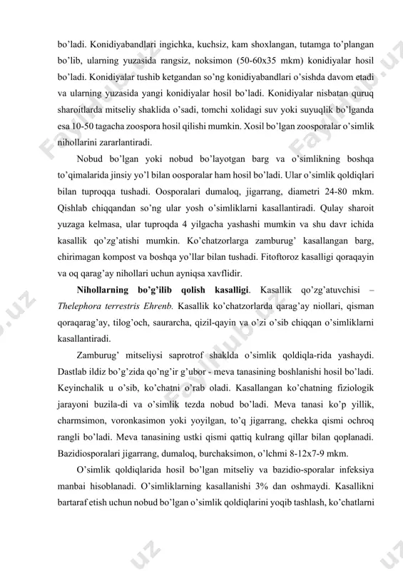 . dastlab ildiz bo’g’zida qo’ng’ir g’ubor - meva tanasining boshlanishi hosil bo’ladi. keyinchalik u o’sib, ko’chatni o’rab oladi. kasallangan ko’chatning fiziologik jarayoni buzila-di va o’simlik tezda nobud bo’ladi. meva tanasi ko’p yillik, charmsimon, voronkasimon yoki yoyilgan, to’q jigarrang, chekka qismi ochroq rangli bo’ladi. meva tanasining ustki qismi qattiq kulrang qillar bilan qoplanadi. bazidiosporalari jigarrang, dumaloq, burchaksimon, o’lchmi 8-12x7-9 mkm. o’simlik qoldiqlarida hosil bo’lgan mitseliy va bazidio-sporalar infeksiya manbai hisoblanadi. o’simliklarning kasallanishi 3% dan oshmaydi. kasallikni bartaraf etish uchun nobud bo’lgan o’simlik qoldiqlarini yoqib tashlash, ko’chatlarni vaqtida yaxshi parvarish qilish, tuproqlarni yumshatish yoki kasallik o’choqlarini umuman yo’qotish tavsiya etiladi. mevalar deformatsiyasi. kasallik terak, kulrang qayrag’och va cheremuxa mevalarida kuzatiladi. terakda kasallikni taphrina oilasiga mansub zamburug’lar qo’zg’atadi. binobarin, t. johansonii sad., t. aurea fr. tog’terak, turang’il, mirzaterak va boshqa turlarni kasallantiradi. zamburug’ kurtaklar ichida qishni o’tkazadi. bahorda daraxtlar gullaganda mitseliy o’sadi va urg’ochining kuchalasiga o’tib, mevalarini o’zgartiradi, ya’ni deformatsiyalaydi, ularda urug’lar hosil …