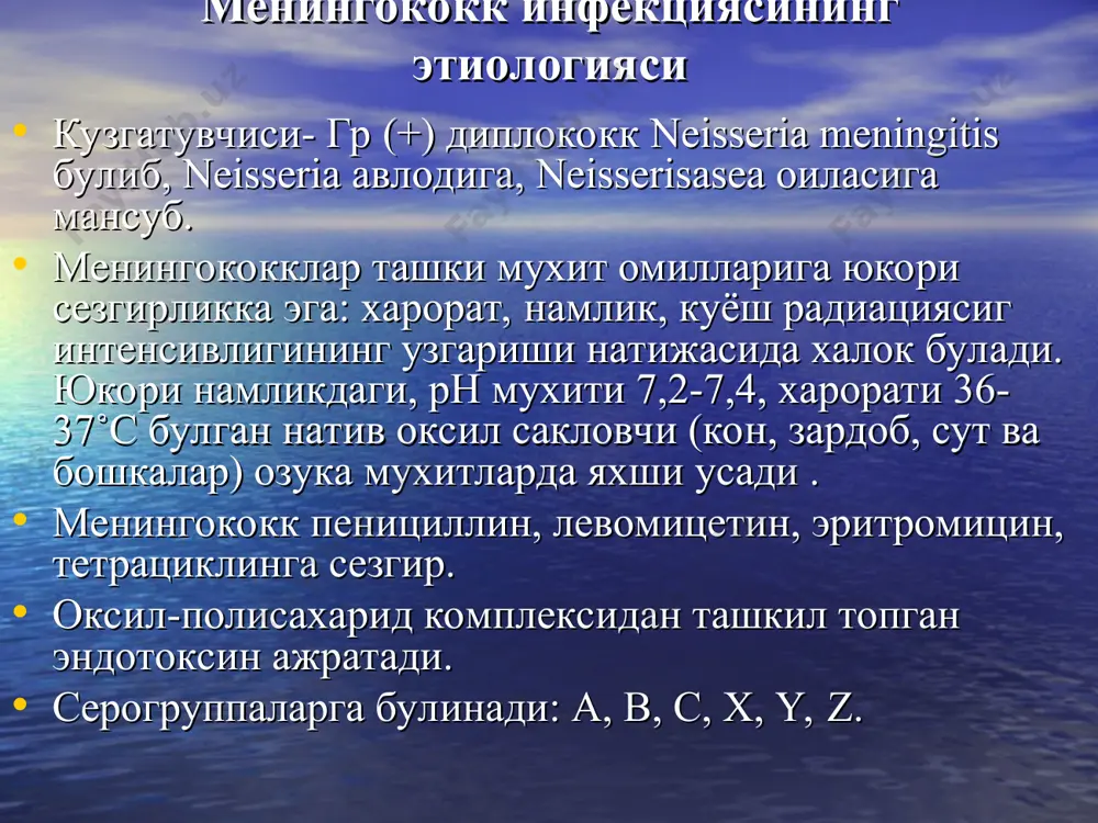 : meningit meningokokkemiya bilan kam uchraydigan shakllari: meningokokkli endokardit pnevmoniyalar, iridotsiklit, artrit va boshkalar. meningokokkli nazofaringit barcha mi bilan kasallanganlarning 80%ida uchraydi. engil, urta ogir, va ogir shakllari ajratiladi. kasallik utkir tana xaroratining 37,5˚s dan 39-40˚s gacha kutarilishi, bosh ogrigi, bosh aylanishi, kataral belgilar bilan boshlanadi. xalkum orka devorini giperemiyasi va shishi kuzatiladi: limfoid follikullarning giperplaziyasi, yon bolishlarning shishi, kam mikdorda shillik ajralishi. ogir shakllarida tana xarorati 39-40,5˚s gacha kutariladi, xarakterli simptomlardan tashkari kayt kilish, ba'zan talvasalar, korinda ogrik kushiladi. kuruvda aloxida meningeal simptomlar aniklanadi. periferik konda leykotsitoz 15*10*9/l gacha, neytrofillez, soe 20-30 mm/s gacha buladi. oms uzgarishsiz. meningokokkemiya ( meningokokkli bakteremiya, meningokokkli sepsis) kasallik tusatdan boshlanadi. bemorlar kasallikning anik vaktini aytadilar. tana xarorati 39-40°s gacha kutariladi, kaltirash, kayt kilish, bolalarda kupincha talvasalar, xushning buzilishi kuzatiladi. barcha klinik simptomlar 1-2 kun davomida kuchayib boradi. 1-kunning oxirida xarakterli notugri shakldagi va ushlab kurilganda kattik konsistentsiyali gemorragik yulduzchasimon toshma paydo buladi. toshma …