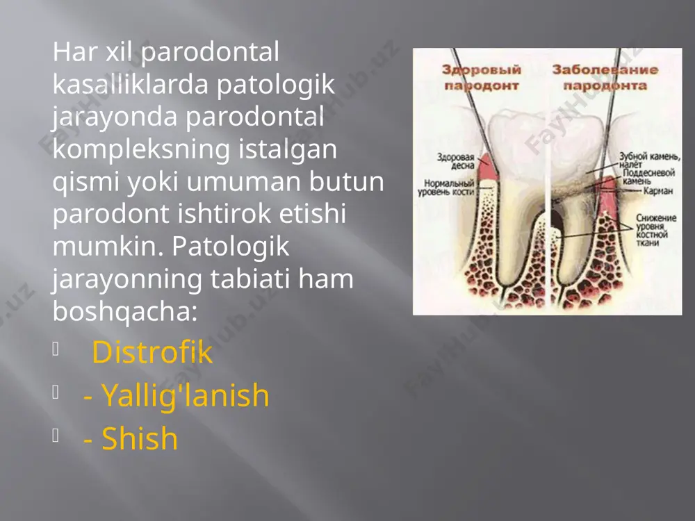 ordamida aniqlanadi. agar yumshoq blyashka tish toji yuzasining 1/3 qismidan ko'p bo'lmagan qismini qoplasa, uning miqdori 1 ballga baholanadi, toj maydoni yuzasining 1/2 qismida blyashka mavjudligi - 2 ball, sirtning 2/3 qismida - 3 ball. tishlarning barcha tekshirilgan yuzalarida blyashka bo'lmasa, 0 o'rnatiladi. keyin raqamli qiymatlar jamlanadi va tekshirilgan tishlarning umumiy soniga, ya'ni 6 ga bo'linadi. odatda, u 1 dan oshmasligi kerak; 1 dan katta indeks og'iz bo'shlig'i gigienasi yomonligining ko'rsatkichidir. tishlash turi, birlamchi yoki ikkilamchi travmatik okklyuzion mavjudligi. okklyudogramma kontakt mumi plitalari yoki folga astarli maxsus taqa shaklidagi chiziqlar ustida olingan tazyiqlar asosida amalga oshiriladi, bu ularning deformatsiyasini oldini oladi va uzoq vaqt davomida saqlanishiga imkon beradi. mum plastinkasi og'iz bo'shlig'iga kiritiladi va bemorga markaziy, sagittal, ko'ndalang (o'ng va chap) tiqilish holatida jag'larni yopish taklif etiladi. plastinada olingan tazyiqlar tish formulasiga yozuv yordamida o'tkaziladi: (+) - kontaktlarning mavjudligi, (-) - kontaktning yo'qligi. qisqichli mumi yordamida olingan okklyudogramma indeksini hisoblash …