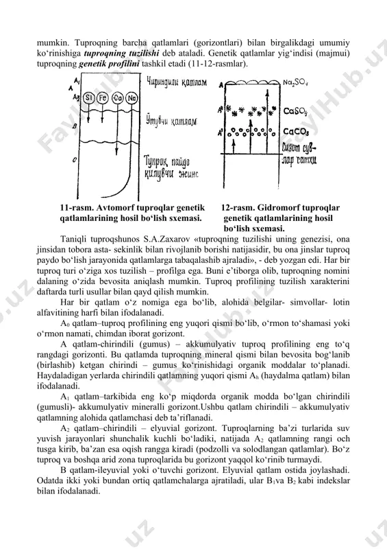 mvollar- lotin alfavitining harfi bilan ifodalanadi. a0 qatlam–tuproq profilining eng yuqori qismi bo‘lib, o‘rmon to‘shamasi yoki o‘rmon namati, chimdan iborat gorizont. a qatlam-chirindili (gumus) – akkumulyativ tuproq profilining eng to‘q rangdagi gorizonti. bu qatlamda tuproqning mineral qismi bilan bevosita bog‘lanib (birlashib) ketgan chirindi – gumus ko‘rinishidagi organik moddalar to‘planadi. haydaladigan yerlarda chirindili qatlamning yuqori qismi ah (haydalma qatlam) bilan ifodalanadi. a1 qatlam–tarkibida eng ko‘p miqdorda organik modda bo‘lgan chirindili (gumusli)- akkumulyativ mineralli gorizont.ushbu qatlam chirindili – akkumulyativ qatlamning alohida qatlamchasi deb ta’riflanadi. a2 qatlam–chirindili – elyuvial gorizont. tuproqlarning ba’zi turlarida suv yuvish jarayonlari shunchalik kuchli bo‘ladiki, natijada a2 qatlamning rangi och tusga kirib, ba’zan esa oqish rangga kiradi (podzolli va solodlangan qatlamlar). bo‘z tuproq va boshqa arid zona tuproqlarida bu gorizont yaqqol ko‘rinib turmaydi. b qatlam-ileyuvial yoki o‘tuvchi gorizont. elyuvial qatlam ostida joylashadi. odatda ikki yoki bundan ortiq qatlamchalarga ajratiladi, ular b1va b2 kabi indekslar bilan ifodalanadi. bk qatlam-karbonatlar eng …