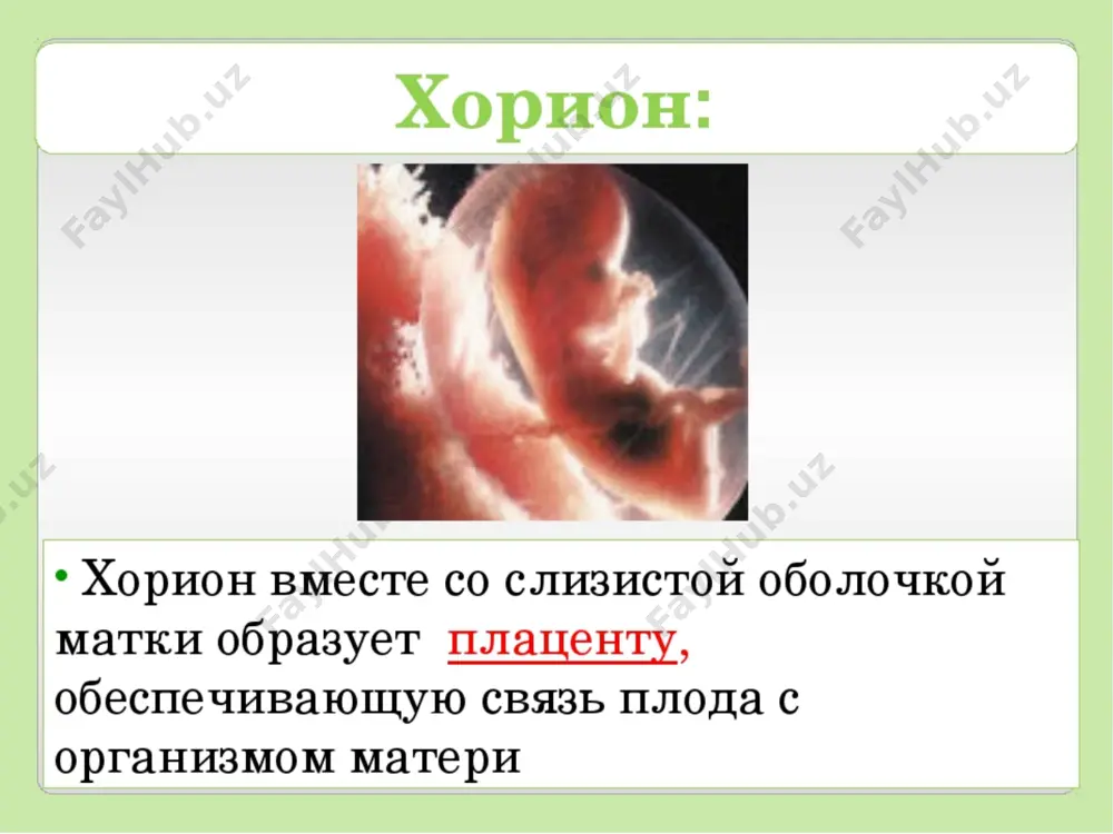 ) плод имеет длину 35 см, масса 1000-1200 г. подкожный жир развит слабо, кожа морщинистая, покрыта сыровидной смазкой, на всем теле пушковые волосы. ушные и носовые хрящи мягкие, ногти не доходят до концов пальцев рук и ног. у мальчиков яички не спустились в мошонку , у девочек малые половые губы не прикрыты большими. плод рождается живым, дышит, но еще маложизнеспособен. плод считается недоношенным, но жизнеспособным ,однако дети, родившиеся в этот срок, могут выжить лишь очень тщательном уходе длина плода 40 см, масса 1500-1600 г, плод рождается жизнеспособным, но требует особого ухода. длина плода 45 см, масса 2400-2500 г, подкожно-жировой слой увеличивается, кожа гладкая, розовая, пушковых волос на теле меньше, волосы на голове удлиняются. плод, родившийся в этот срок, жизнеспособен. использованная литература: атлас по анатомии человека р. д. синельникова сайт в интернете www.daglib.ru анатомия человека м. р. сапина и г. л. билича анатомия человека м. г. привеса, н. к. лысенкова и …