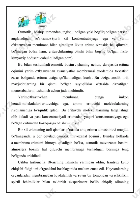pufak orkali suv kirib, naydagi suyuqlik koʻtarila boshlagan. suvning pufak orqali nayga oʻtishi maʼlum bosim (osmotik bosim) tufayli sodir boʻladi. suyukdik nayda maʼlum balandlik-ka qadar koʻtariladi; naydagi suyuklikning gidrostatik bosimi osmotik bosimga tenglashea, suyuqlik koʻtarilishdan toʻxtaydi. bu balandlikning kattaligi osmotik bosimning oʻlchovi boʻlib xizmat qiladi. o. hajmi cheklangan suyuqlikning ichki tomoniga yoʻnalgan boʻlsa, endosmos, tashki tomoniga yoʻnalgan boʻlsa, ekzosmos deyiladi. yarim oʻtkazuvchi pardalarni polimer materialdan (mas, kollodiydan) yoki iviqsimon choʻkindilardan (mas, mis ferrotsianid cu2[fe(cn)6] choʻkmasidan) tayyorlash mumkin. o. polimerlarning molekulyar tavsifini aniqlashda, eritmalarni konsentratsiyalashda, baʼzi bir polimer materiallar olishda, yuqori minerallashgan suvlarni tozalashda qoʻllanadi. o. hodisasi oʻsimlik va hayvon organizmlarida nihoyatda katta ahamiyatga ega, chunki organizmdagi har qaysi hujayra yarimoʻtkazgich vazifasini bajara oladi. bir xil osmotik bosimga ega boʻlgan eritmalar izotonik eritmalar deyiladi. agar eritmalarning osmotik bosimi ichki xujayra su-yukligining osmotik bosimidan katta boʻlsa, gipertonik, kichik boʻlsa gipotonik eritmalar deyiladi. bir eritma maʼlum bir turdagi hujayra uchun gipertonik, boshqasi uchun …