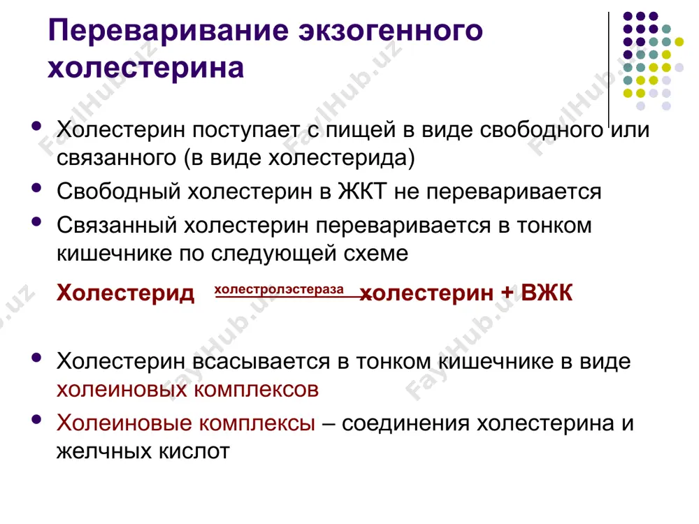 biologicheskaya khimiya - Page 5