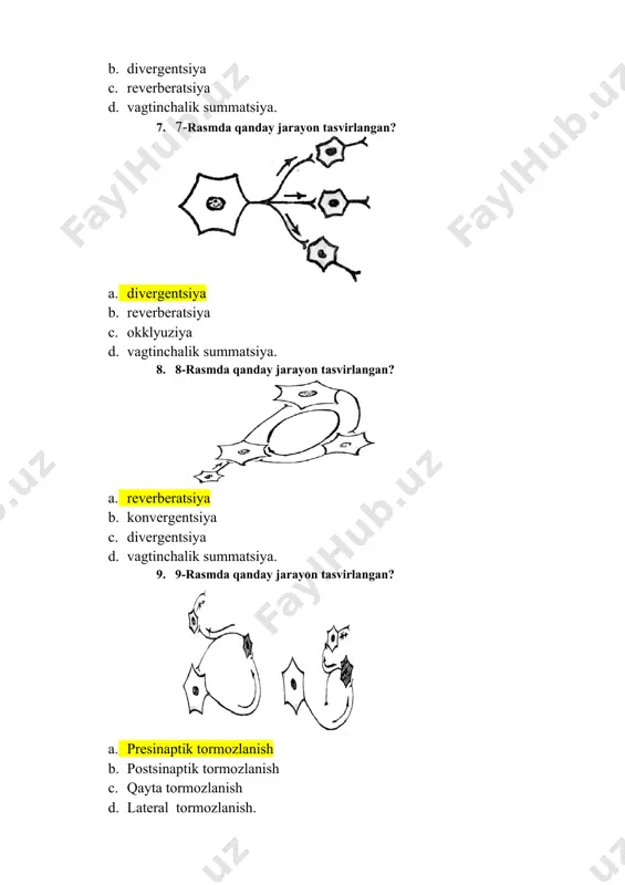 sinaps strukturlari - Page 3