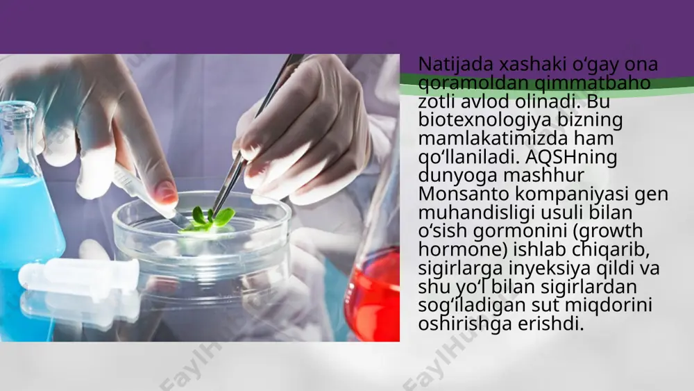 hujayra muhandisligi asosida hayvonlar irsiyatini o‘zgartirish. gibridoma. 10 - sinf - Page 4