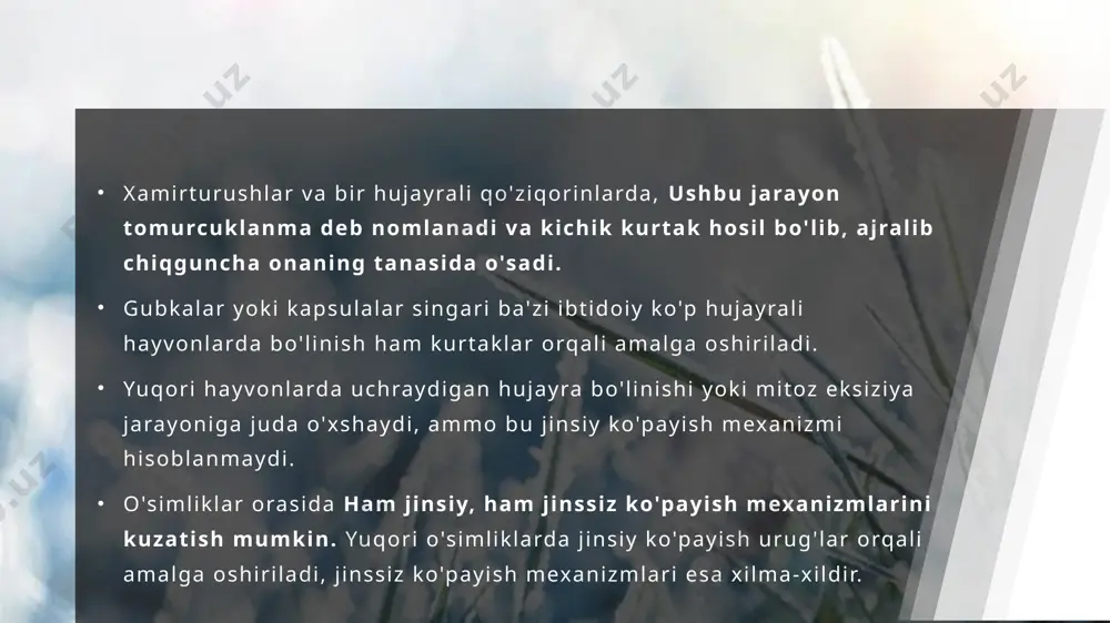 o'simliklarning jinssiz ko'payishi - Page 5