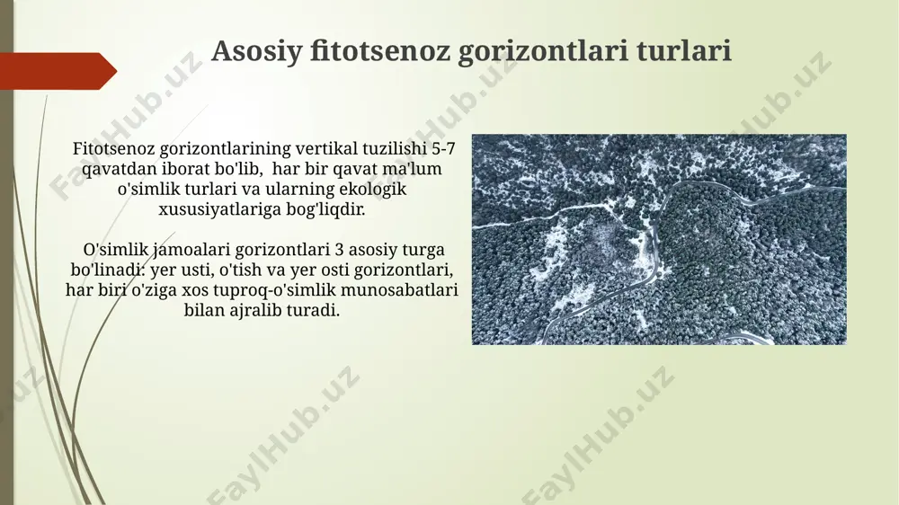 fitotsenoz gorizontlari va ularning tiplari - Page 5