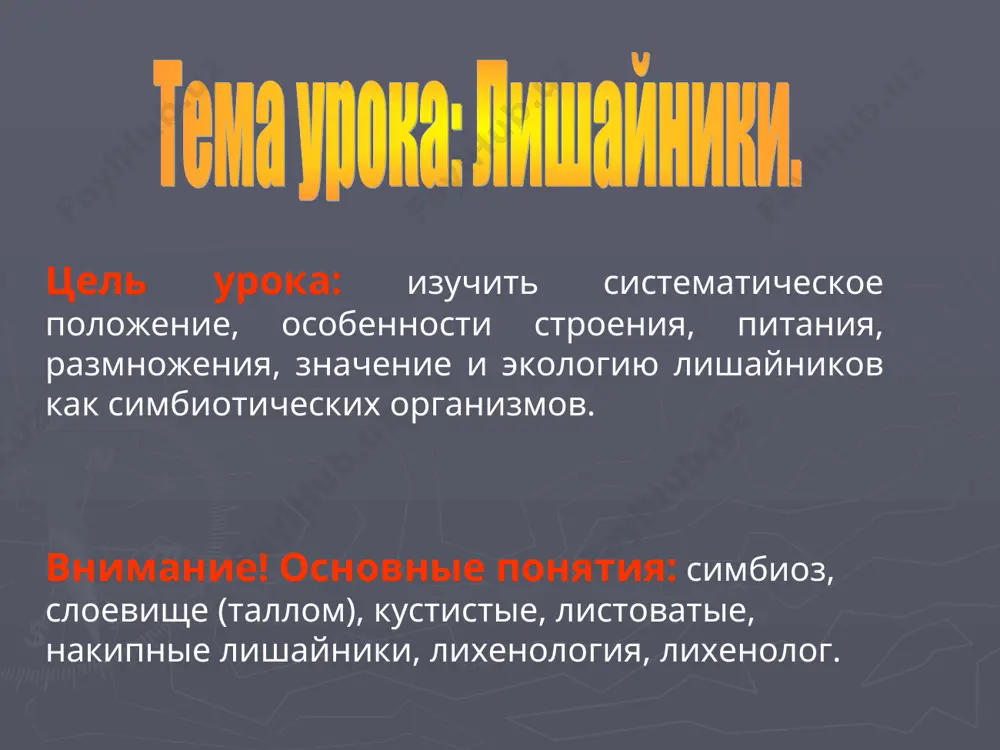 präsentatsiya "lishayniklar" - Page 4