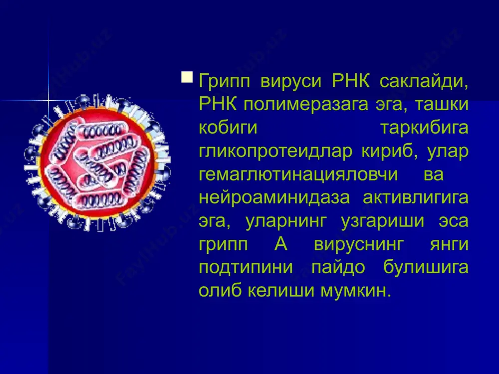 н ушбу курсаткич кескин кискарган ва у эмланиш сифати хамда хосил булган иммунитетни сифатига бевосита боглик. вакицнациядан сунгги иммунитетни давомийлиги аник эмас. кузатув давом этмокда. эмланган сунг йиллар утиши билан иммунитет сусайиши мумкин. шунинг учун 2-3 маротаба вакцинацияни такрорлашга зарурият тугилади. ушбу хол хар 8-15 йилларга тугри келади. бола тугилгандан 6 ой муддатгача кизамик билан огримаслиги мумкин, онасидан утган пассив иммунитет хисобига. 3-чи ойидан бошлаб тугма иммунитет пасаяди ва 9 -ойлигидан сунг бола кизамикни юктиришга мойил булиб колади. агар онаси кизамик билан огримаган булса ёки эмланмаган булса тугилганидан бошлаб мойил булиб колади. аммо болаларда биринчи ярим ёки бир ёшгача тугма анэргия холати мавжудлиги туфайли улар кизамик билан кам касалланишади. агарда хомиладорлик даврида она кизамик билан огриса бола тугма кизамик билан тугилиши мумкин. кизамик 1 ёшгача ва кисман 2 ёшгача болаларда узига хос огир утади, асоратлар куп булади ва уларда улим хам купрок кузатилади (90% гача). бу касалликка мавсумийлик хам мансуб …