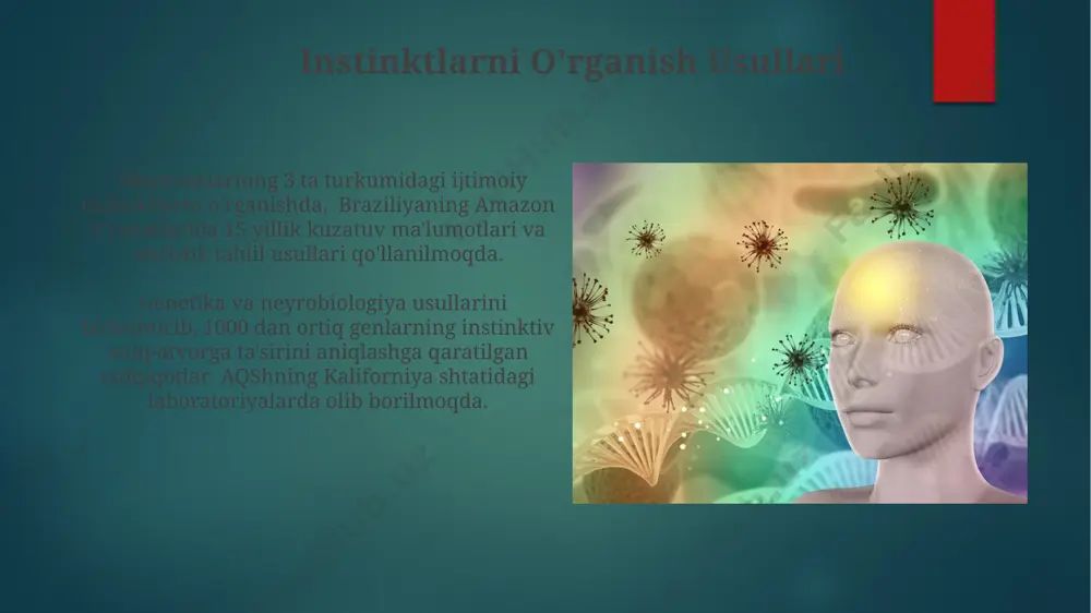 avlod qoldiradi. odamlarda, 70% ga yaqin juftliklarni shakllantirishda genetik moslikning roli muhim bo'lib, bu esa reproduktiv muvaffaqiyatni oshirishga va 30 yoshgacha tug'ilish darajasini ko'tarishga yordam beradi. instinktlarning genetik asoslari qushqo'nmaslarning migratsiya instinkti 5-10% ga yaqin genetik farqlar bilan bog'liq bo'lib, bu o'zgarishlar ularning magnit maydonlarini sezish qobiliyatlarini belgilaydi va bu 2018-yilda aqshda chop etilgan maqolada tasvirlangan. inson miyasidagi 20 000 dan ortiq genlarning 5000 ga yaqini xulq-atvor va instinktlarni shakllantirishda ishtirok etadi, bu esa germaniyaning max plank instituti tomonidan o'tkazilgan tadqiqotlar bilan tasdiqlangan. hayvonlardagi instinktlarning misollari shimoliy amerikada yashovchi 150 ga yaqin qushlar turi, shu jumladan koʻk qargʻalar, oʻzlarining yashash joylarini himoya qilish va hududiylik instinktiga ega boʻlib, hududlarini boshqa qushlardan faol ravishda himoya qiladi. afrikadagi serengeti milliy bogʻida yashovchi zebra sürülerining yirtqichlardan himoyalanish uchun birgalikda harakat qilish instinkti ularning sonini saqlab qolishga yordam beradi, bu esa 200 dan ortiq zebradan iborat guruhlar hosil boʻlishini ta’minlaydi. instinktlarning ta'rifi va xususiyatlari …