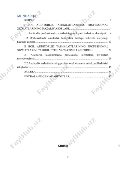 auditorlik tashkilotlarining professional xizmatlari — DOCX