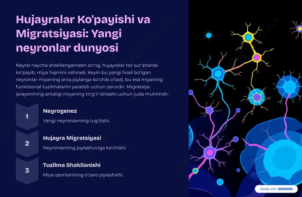 shakllantiradi. ushbu tadqiqot sohasi nevrologiya, psixologiya va tibbiyotning kelajagi uchun katta imkoniyatlarni taqdim etadi. kelajakdagi tadqiqotlar genetik, hujayra va muhit omillarining o»zaro ta9sirini chuqurroq o»rganishga qaratilgan bo»lishi kerak. integratsiyalashgan yondashuv genetika va atrof-muhit o'zaro ta'sirini tushunish. erta aralashuv rivojlanishdagi buzilishlarni erta aniqlash va davolash usullarini takomillashtirish. neyroplastiklik miyaning moslashish va tiklanish qobiliyatini o'rganish. https://gamma.app/?utm_source=made-with-gamma