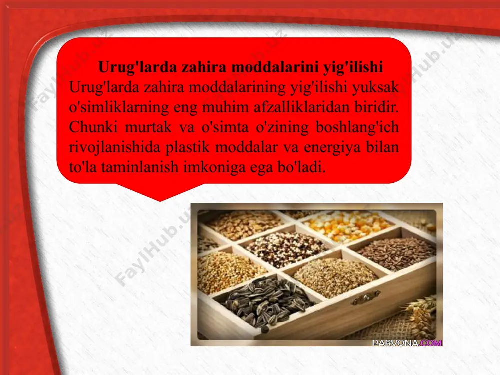 o'simliklarning o'sishi va rivojlanishi - Page 4