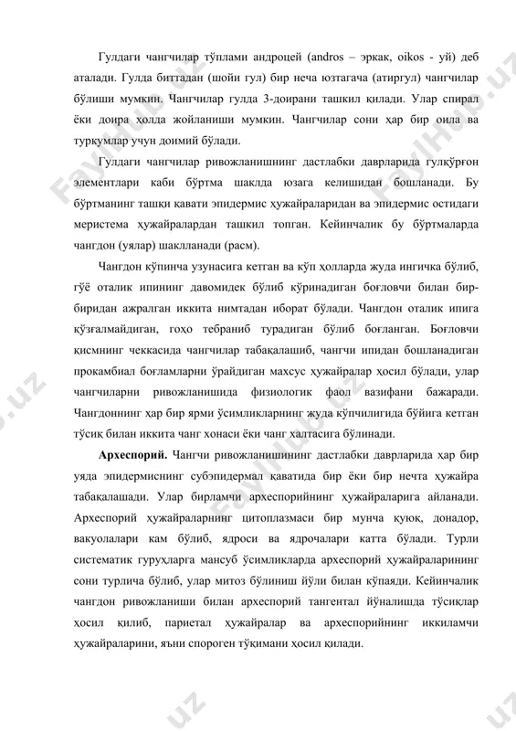 га мансуб ўсимликларда археспорий ҳужайраларининг сони турлича бўлиб, улар митоз бўлиниш йўли билан кўпаяди. кейинчалик чангдон ривожланиши билан археспорий тангентал йўналишда тўсиқлар ҳосил қилиб, париетал ҳужайралар ва археспорийнинг иккиламчи ҳужайраларини, яъни спороген тўқимани ҳосил қилади. чангдон девори. эпидермис ҳужайралари ва унинг париетал қават ҳужайралари биргаликда чангдон деворини ҳосил қидади. париетал қаватнинг ҳужайралари периклинал бўлиниб, икки қават ҳужайраларни ҳосил қилади. улардан эпидермисга тақалиб тургани – ташқи, иккиламчи археспорийспороген тўқима томондаги – ички қаватга айланади. ташқи субэпидермал қаватнинг ҳужайралари кейинчалик фибриоз қаватга, яъни эндотецийга айланади. унинг ҳужайраларини пўстида одатда фибриозли йўғонлашмалар ҳосил бўлиб, чанг доналари етилганидан кейин чангдон уяларини очилишига хизмат қилади. ички қаватнинг ҳужайралари яна бир марта бўлиниши натижасида ўрта ва тапетум қаватлар ҳосил бўлади (расм). расм. чангдон уяларининг ҳосил бўлиши. э –эпидермис; с –субэпидермал қават; энд. -эндотеций; д – тапетум қават; а- археспорий; юқорида баён қилинганлардан шундай хулоса қилиш мумкинки, ёпиқ уруғли ўсимликларнинг кўпчилигида чангдон девори тўрт қават ҳужайралардан: эпидермис, …