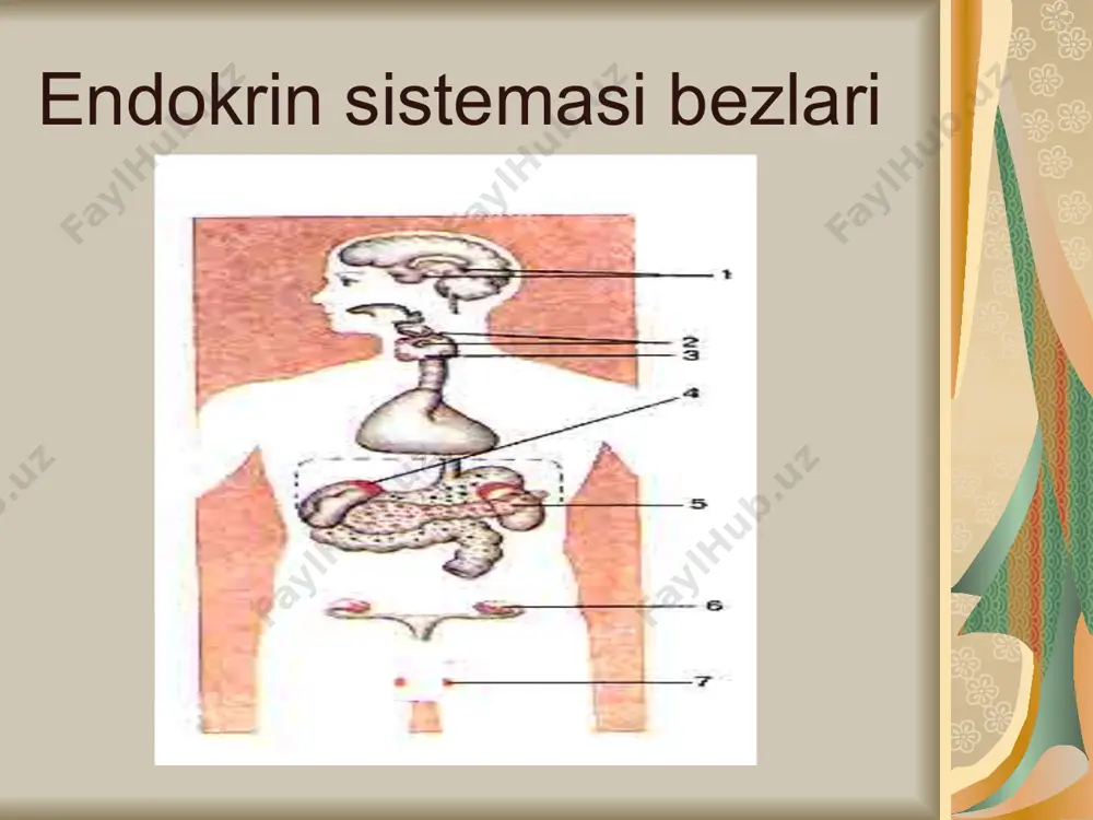 i y a qalqonsimon bez. yodli teroksin me`yordan ortganda tireotaksikoz vujudga keladi. bunda moddalar almashinuvi tezlashadi, nerv sistemasi qo`zg`alishi kuchayadi, buqoq paydo bo`ladi. bazedov kasalligi. ko`zlari chaqchaygan, qalqonsimon bezi kattalashgan, o`zi ozg`in, ko`p terlaydi, asabiylashish, uyqusizlik, yurak o`ynash holatlari kuzatiladi. endemik buqoq gipoterioz – moddalar almashinuvi va nerv sistemasi qo`zg`alishi susayadi. tiroksin gormoni normadan ko`p sintezlanadi. uni aniqlagan olimning nomi bilan atalgan. kasallik o`z vaqtida davolanmasa, ahvoli og`irlashadi, bemor jarrohlik yo`li bilan davolanadi. qalqonsimon bezning faoliyati pasayganda yoshlikda pastbo`ylik, kretinizm, aqli zaiflik, jinsiy rivojlanishning orqada qolishi kuzatiladi. bemorlarning og`izilari ochiq, tili osilib turadi. buyrakusti bezi po`stloq va mag`iz qavatlaridan iborat. asosiy gormonlari adrenalin va noradrenalindir. po`stloq qismi olib tashlanganda natriy ko`p miqdorda yoqolishi o`limga olib keladi. addison, ya`ni bronza kasalligida darmonsizlik, ozish, terining bronza rangi, muskullar bo`shashadi, tez charchaydi, jismoniy ish faoliyati pasayadi. addison, ya`ni bronza kasalligi oshqozon osti bezi mezda osti bezining insulin gormoni funksiyasining buzilishi aholi orasida ko`p …