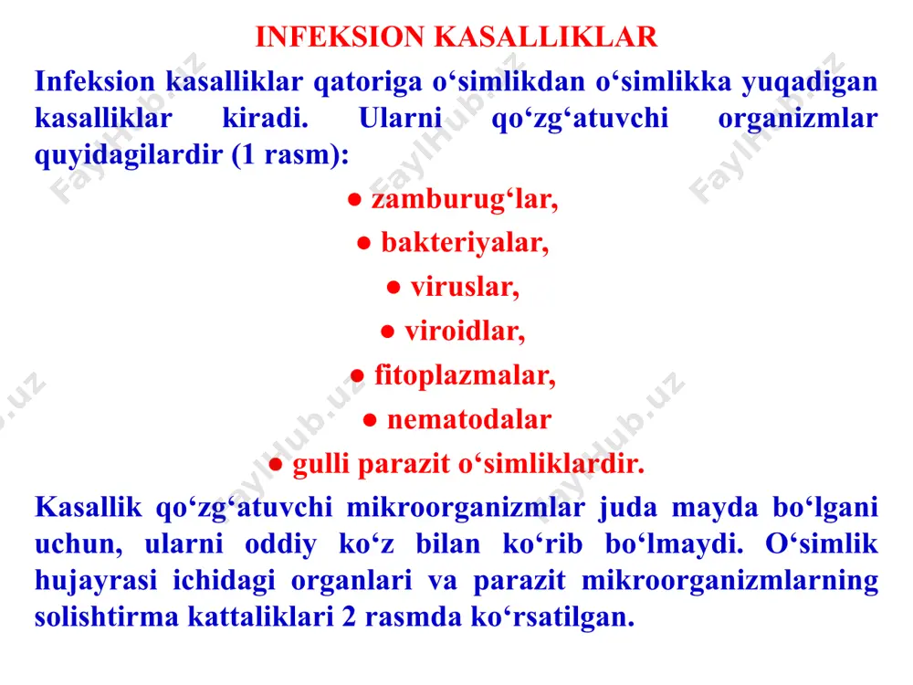 rug‘lari, ba’zi bakteriyalar va boshqalarni ko‘rsatish mumkin. avtotroflar – fotosintez jarayonida organik modda yarata oladigan organizmlardir. geterotroflar mustaqil ravishda organik moddalarni ishlab chiqara olmaydi, ular faqat avtotroflar sintez qiladigan organik moddalar hisobiga yashaydi, shu sababdan ular ma’lum darajada, energiya manbaalari sifatida, avtotroflarga muhtoj. obligat parazitlar tabiatda faqat tirik o‘simlik to‘qimalari bilan oziqlanadi va saprotrof sifatida oziqlana olmaydi (ammo laboratoriya muhitida maxsus ozuqalarda ayrim obligat parazitlarni o‘stirish mumkin). ularning qatoriga un-shudring, soxta un-shudring, qorakuya va zang kasalliklarining qo‘zg‘atuvchilari va ba’zi boshqalar kiradi. fakultativ saprotroflar odatda o‘simliklarda parazit sifatida yashaydi, ammo o‘simlik qoldiqlarida saprotrof shaklida ham yashay oladi. masalan, olmada kalmaraz qo‘zg‘atuvchi venturia inaequalis zamburug‘i butun o‘suv mavsumida olmaning barglari va mevalarini zararlab, parazit shaklida hayot kechiradi, barglar to‘kilgach esa, hayotini ularda saprotrof sifatida davom ettiradi va keyingi mavsumgacha saqlanadi. fakultativ parazitlar ham saprotrof, ham parazit shaklida hayot kechiradi. ular xo‘jayin o‘simliklarni zararlaab, parazit sifatida yashaydi, o‘simlik nobud bo‘lgach, uning organik birikmalari …