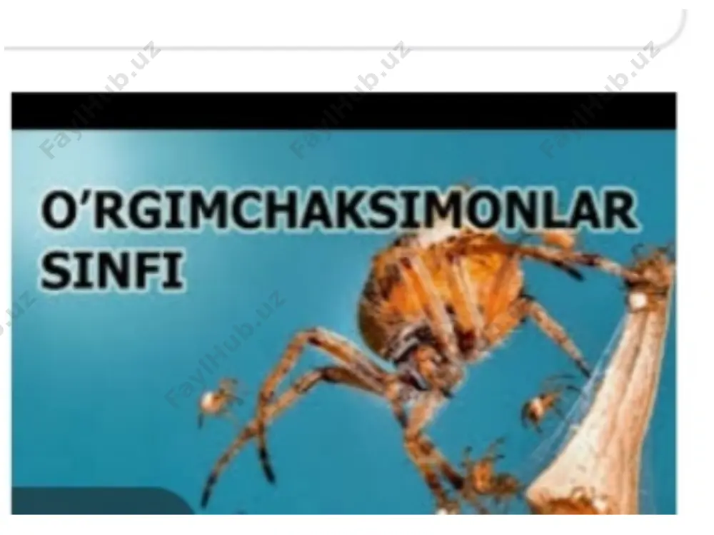 o'rgimchaksimonlar sinfi - Page 4