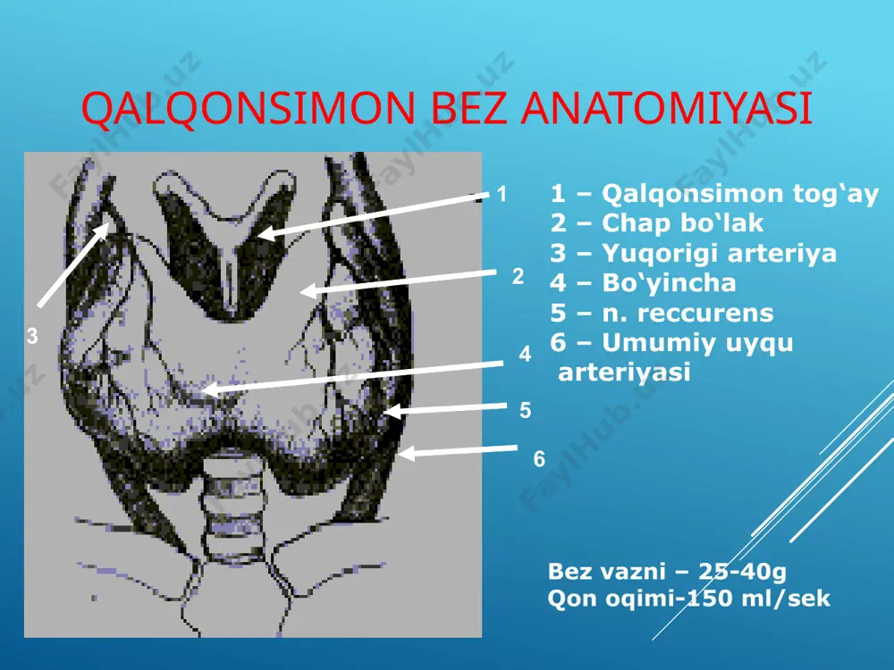qalqonsimon bez kasalliklari - Page 5