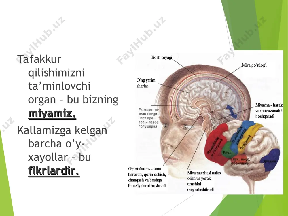 tafakkurning shakllari va qonunlari - Page 5