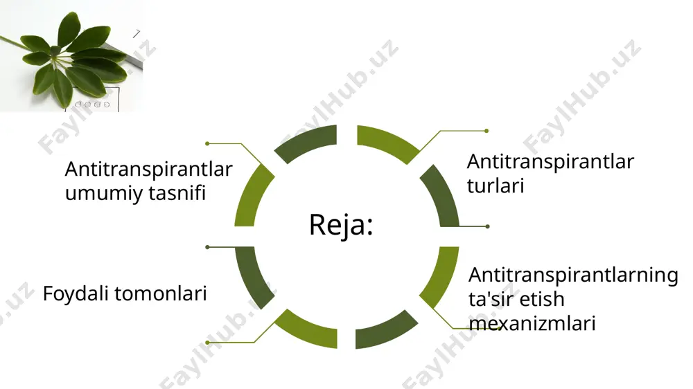 sida abskis kislotasi va glyalakikal kabi kompazitsiyalari bor. ba'zboiiostimulyatorlar masalan: amino kislota va vitaminlar asosida mahsulotlar ósimlikning suvni saqlash qobilyatini yqxshilash orqali antitranspirant sifatida ishlatiladi . har bir tur ma'lum sharoit va ósimlik turi uchun samarali bolishi mumkin. etiboringiz uchun rahmat. image1.jpeg image2.jpeg image3.jpeg image4.jpeg image5.jpeg image6.jpeg image7.jpeg image8.jpeg