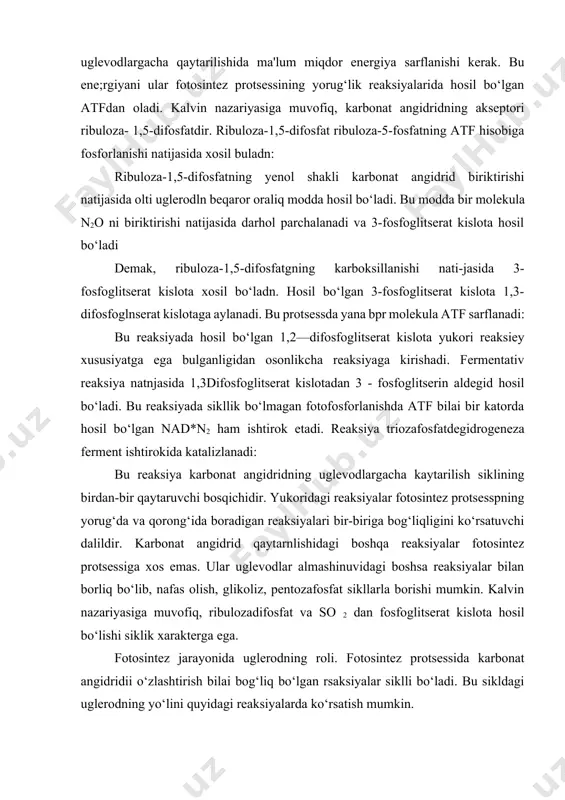 ga bog‘liqligini ko‘rsatuvchi dalildir. karbonat angidrid qaytarnlishidagi boshqa reaksiyalar fotosintez protsessiga xos emas. ular uglevodlar almashinuvidagi boshsa reaksiyalar bilan borliq bo‘lib, nafas olish, glikoliz, pentozafosfat sikllarla borishi mumkin. kalvin nazariyasiga muvofiq, ribulozadifosfat va so 2 dan fosfoglitserat kislota hosil bo‘lishi siklik xarakterga ega. fotosintez jarayonida uglerodning roli. fotosintez protsessida karbonat angidridii o‘zlashtirish bilai bog‘liq bo‘lgan rsaksiyalar siklli bo‘ladi. bu sikldagi uglerodning yo‘lini quyidagi reaksiyalarda ko‘rsatish mumkin. kalvin tomonidan radioaktiv uglerod—s14 atomlari yordamida o‘tkazilgan tajribalarda so2 biriktiruvchi modda ribuloza-1,5-difosfat ekanligi aniqlangan . karbonat angidridni biriktirish natijasida hosil bo‘lgan oraliq modda parchalanib, 2 molekula 3-fosfoglitserat kislota hosil qiladi. reaksiyaning keyingi bosqichlarida 3- fosfoglitserat kislotadan 3-fosfoglitserat aldegid hosil bo‘ladi. siklning navbatdagi reaksiyasida 3-fosfoglitserat aldegid izomerlanib, fosfodioksiatseton hosil qpladi. bu reaksiyani triozafosfatizomeraza fermenti katalizlandi aldolaza fermenti ishtirokida boradigan navbetdagi reaksiyada yuqoridagi ikkala trioza kondensnrlanadi va natijada bir molekula gekssza - fruktoza -1,6-fosfat hosil bo‘ladi. keyingi reaksiyada fosfataza fermenti ishtirokida fruktoza-1,6- difosfatdan bir molekula fosfat …